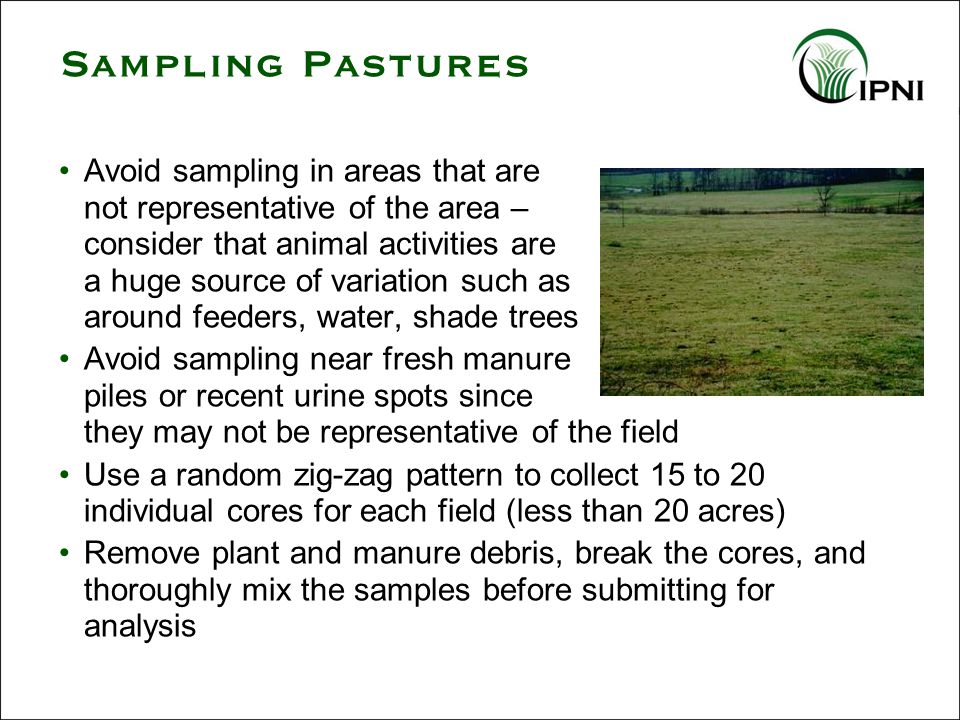Sampling Pastures Avoid sampling in areas that are not representative of the area – consider that animal activities are a huge source of variation such as around feeders, water, shade trees Avoid sampling near fresh manure piles or recent urine spots since they may not be representative of the field Use a random zig-zag pattern to collect 15 to 20 individual cores for each field (less than 20 acres) Remove plant and manure debris, break the cores, and thoroughly mix the samples before submitting for analysis