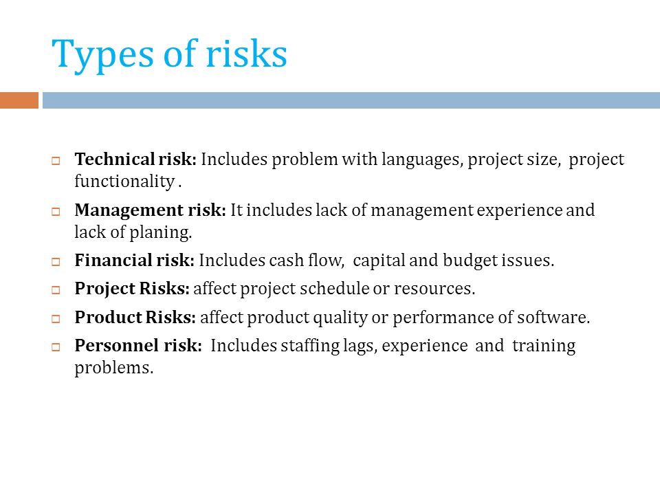 Project risk management term paper