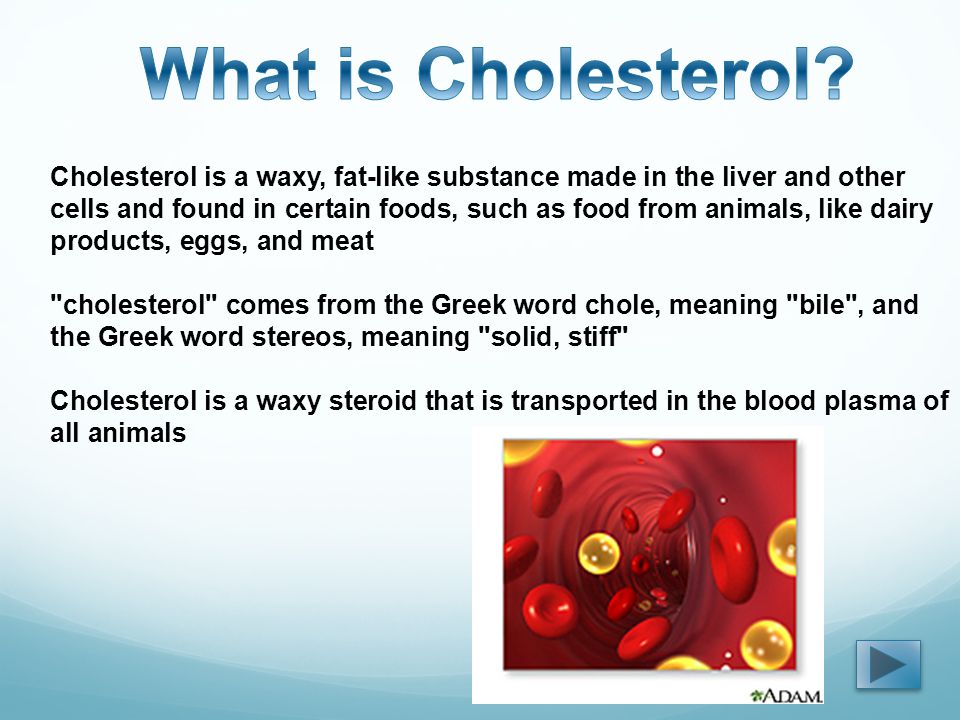 Cholesterol is a waxy, fat-like substance made in the liver and other cells and found in certain foods, such as food from animals, like dairy products, eggs, and meat cholesterol comes from the Greek word chole, meaning bile , and the Greek word stereos, meaning solid, stiff Cholesterol is a waxy steroid that is transported in the blood plasma of all animals