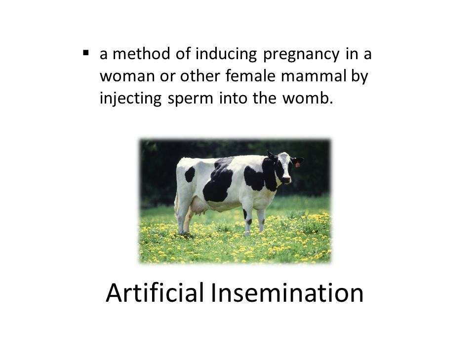  a method of inducing pregnancy in a woman or other female mammal by injecting sperm into the womb.