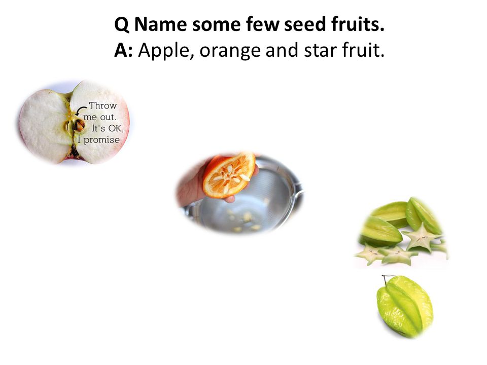 Q Name some few seed fruits. A: Apple, orange and star fruit.