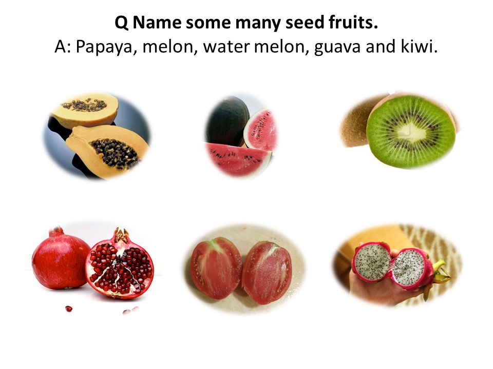 Q Name some many seed fruits. A: Papaya, melon, water melon, guava and kiwi.
