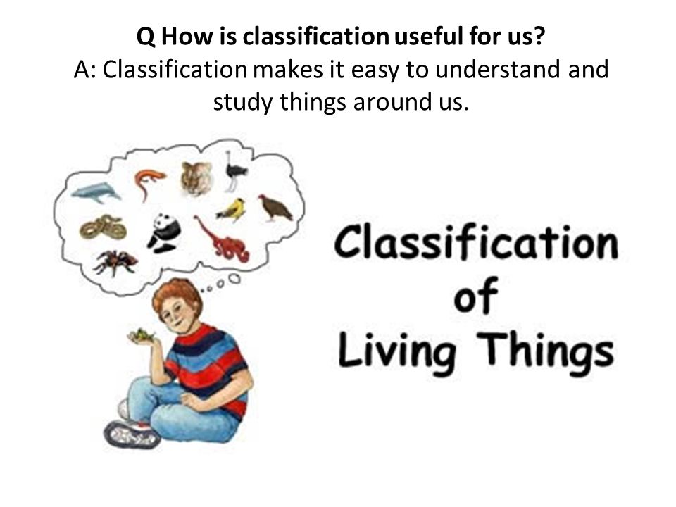 Q How is classification useful for us.