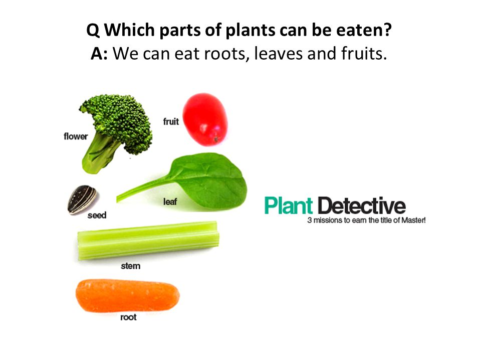 Q Which parts of plants can be eaten A: We can eat roots, leaves and fruits.