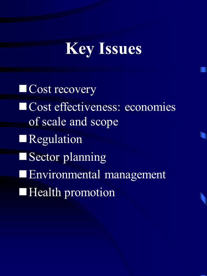 Key Issues Cost recovery Cost effectiveness: economies of scale and scope Regulation Sector planning Environmental management Health promotion