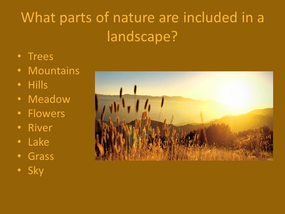 What parts of nature are included in a landscape.