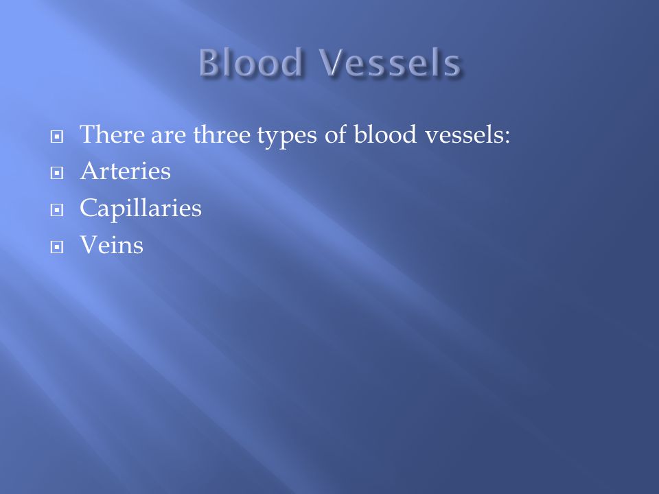  There are three types of blood vessels:  Arteries  Capillaries  Veins
