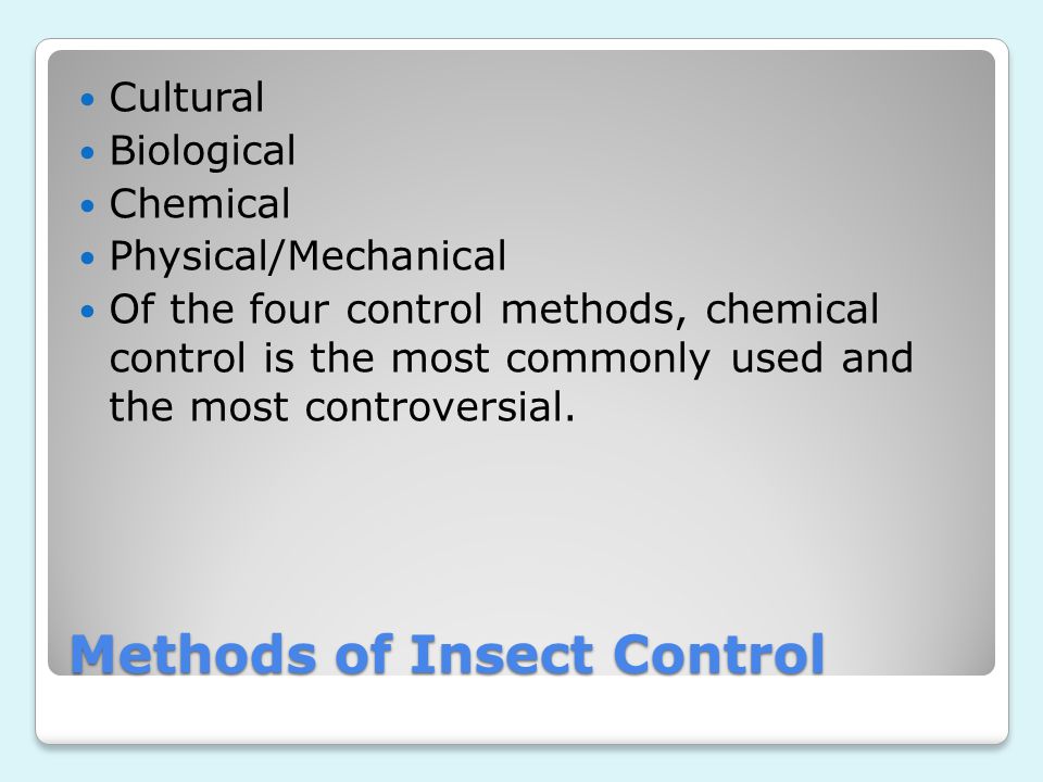 Pest Control Services In Medford, Nj,