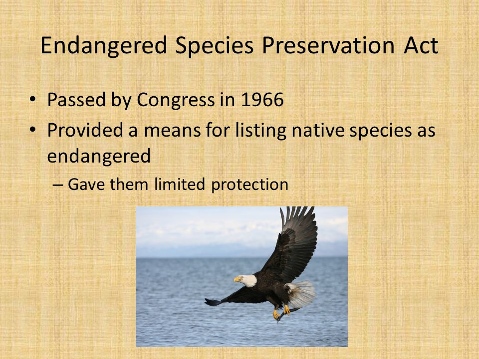 Endangered Species Preservation Act Passed by Congress in 1966 Provided a means for listing native species as endangered – Gave them limited protection