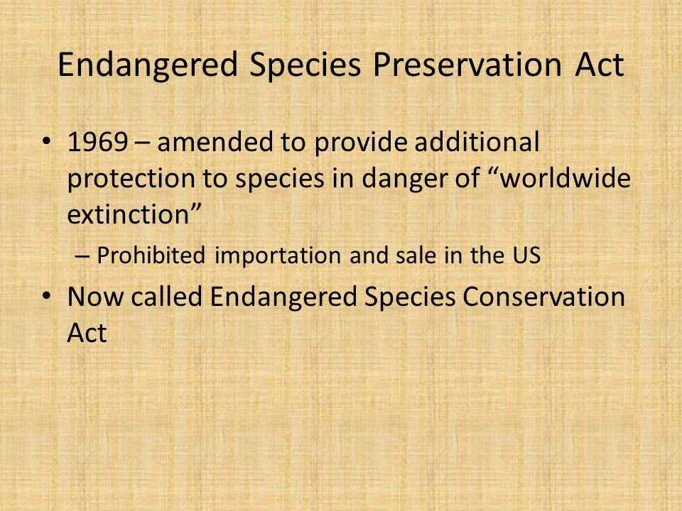 Endangered Species Preservation Act 1969 – amended to provide additional protection to species in danger of worldwide extinction – Prohibited importation and sale in the US Now called Endangered Species Conservation Act