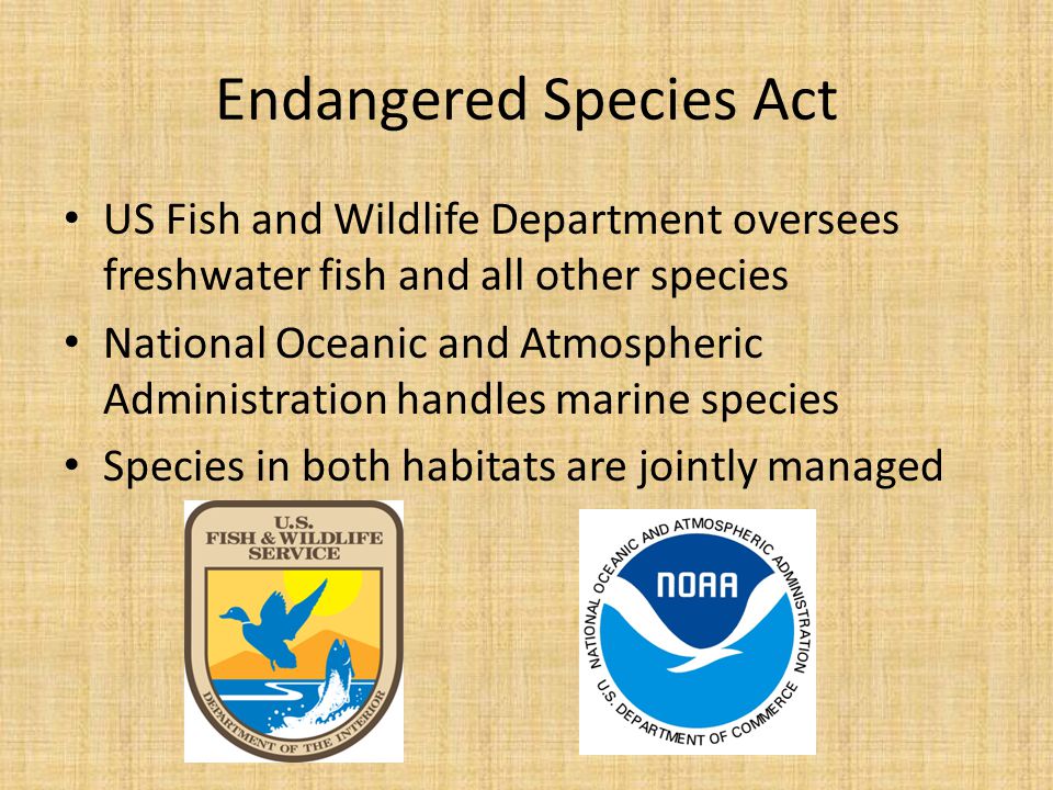 Endangered Species Act US Fish and Wildlife Department oversees freshwater fish and all other species National Oceanic and Atmospheric Administration handles marine species Species in both habitats are jointly managed