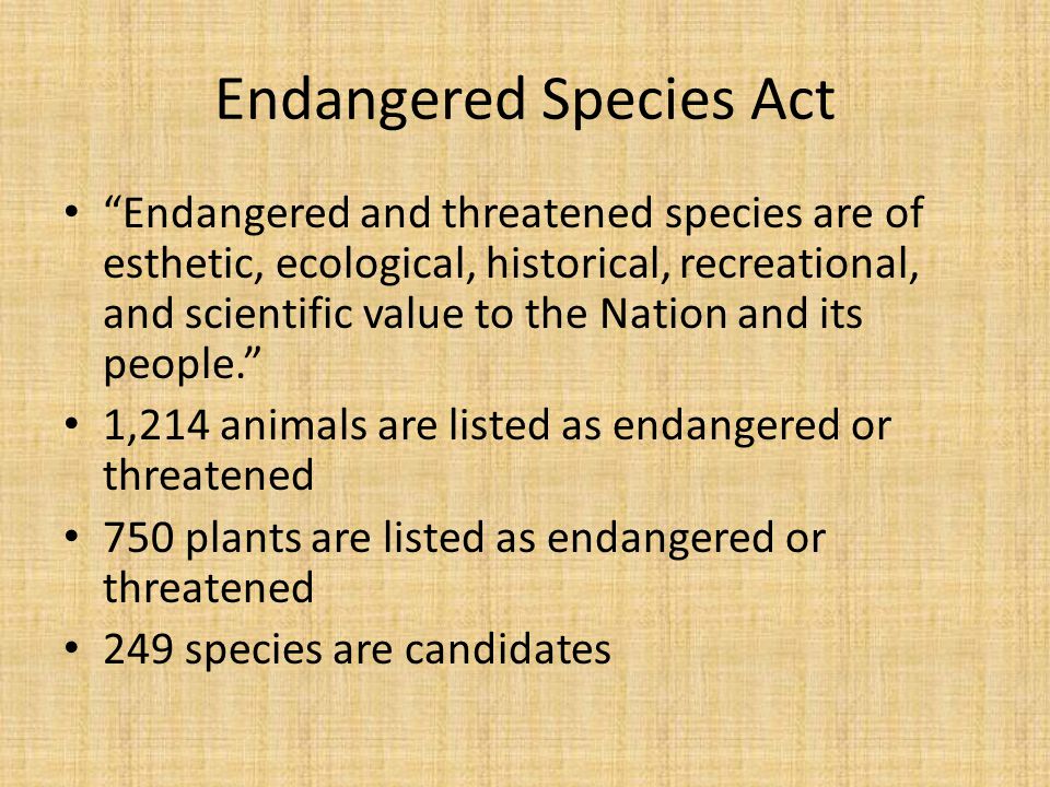 Endangered Species Act Endangered and threatened species are of esthetic, ecological, historical, recreational, and scientific value to the Nation and its people. 1,214 animals are listed as endangered or threatened 750 plants are listed as endangered or threatened 249 species are candidates