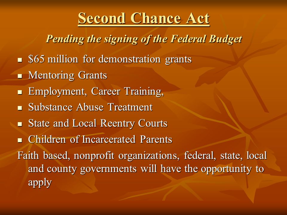 Second Chance Act Pending the signing of the Federal Budget $65 million for demonstration grants $65 million for demonstration grants Mentoring Grants Mentoring Grants Employment, Career Training, Employment, Career Training, Substance Abuse Treatment Substance Abuse Treatment State and Local Reentry Courts State and Local Reentry Courts Children of Incarcerated Parents Children of Incarcerated Parents Faith based, nonprofit organizations, federal, state, local and county governments will have the opportunity to apply