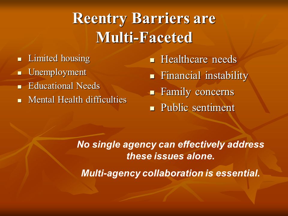 Reentry Barriers are Multi-Faceted Limited housing Limited housing Unemployment Unemployment Educational Needs Educational Needs Mental Health difficulties Mental Health difficulties Healthcare needs Healthcare needs Financial instability Financial instability Family concerns Family concerns Public sentiment Public sentiment No single agency can effectively address these issues alone.