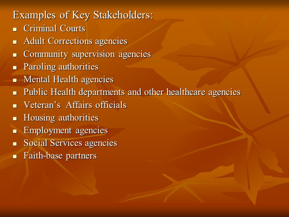 Examples of Key Stakeholders: Criminal Courts Criminal Courts Adult Corrections agencies Adult Corrections agencies Community supervision agencies Community supervision agencies Paroling authorities Paroling authorities Mental Health agencies Mental Health agencies Public Health departments and other healthcare agencies Public Health departments and other healthcare agencies Veteran’s Affairs officials Veteran’s Affairs officials Housing authorities Housing authorities Employment agencies Employment agencies Social Services agencies Social Services agencies Faith-base partners Faith-base partners