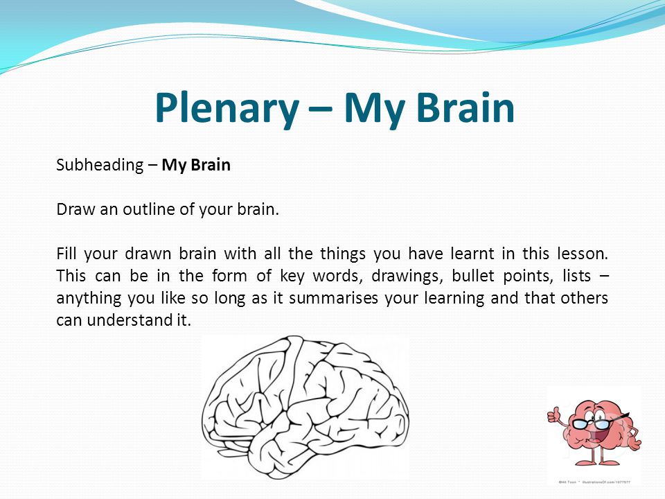 Subheading – My Brain Draw an outline of your brain.