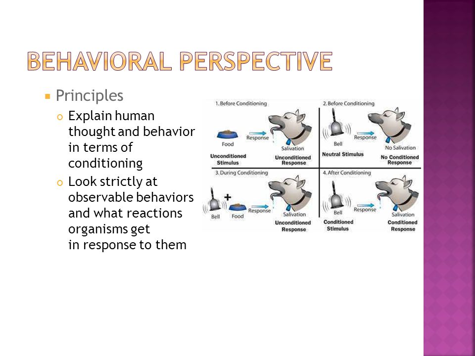  Principles ​ Explain human thought and behavior in terms of conditioning Look strictly at observable behaviors and what reactions organisms get in response to them