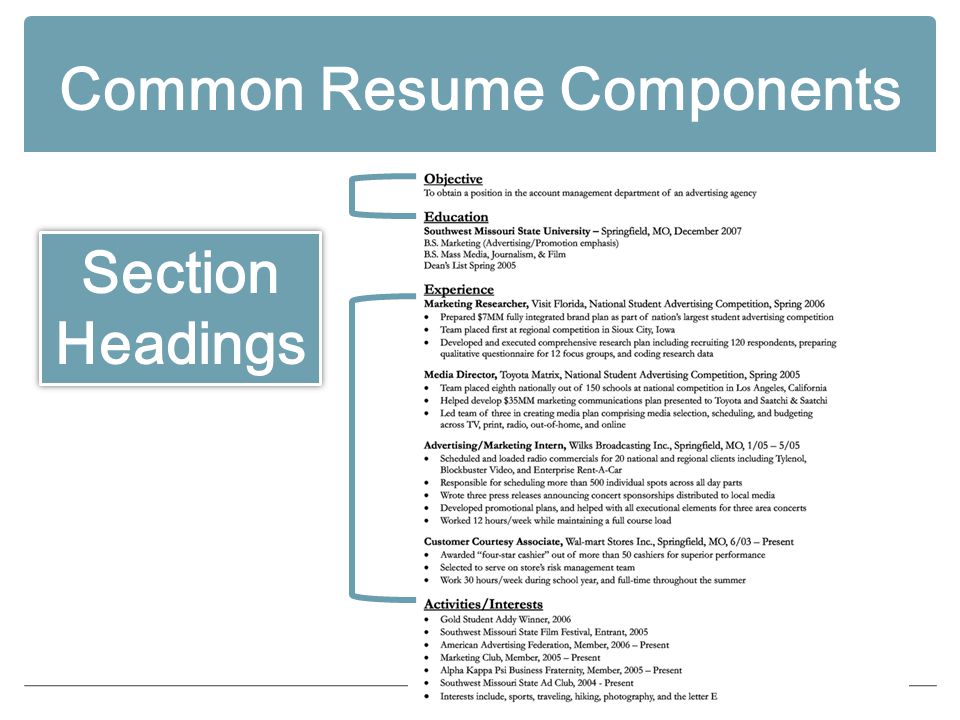 Common Resume Components Section Headings