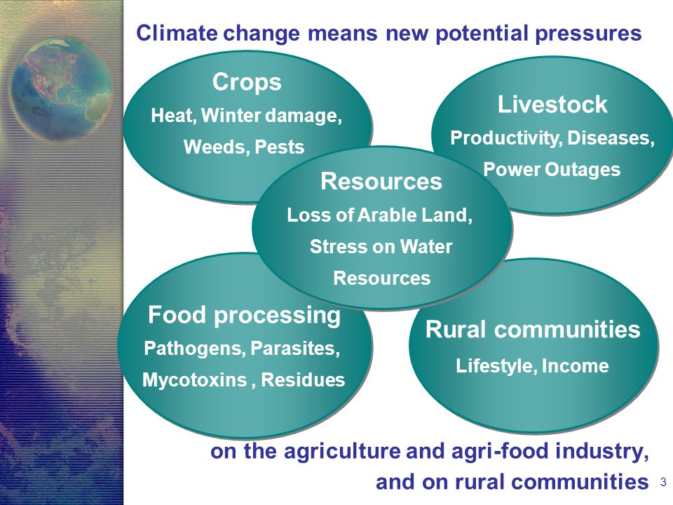 3 on the agriculture and agri-food industry, and on rural communities Climate change means new potential pressures Crops Heat, Winter damage, Weeds, Pests Crops Heat, Winter damage, Weeds, Pests Livestock Productivity, Diseases, Power Outages Livestock Productivity, Diseases, Power Outages Food processing Pathogens, Parasites, Mycotoxins, Residues Food processing Pathogens, Parasites, Mycotoxins, Residues Rural communities Lifestyle, Income Rural communities Lifestyle, Income Resources Loss of Arable Land, Stress on Water Resources Loss of Arable Land, Stress on Water Resources