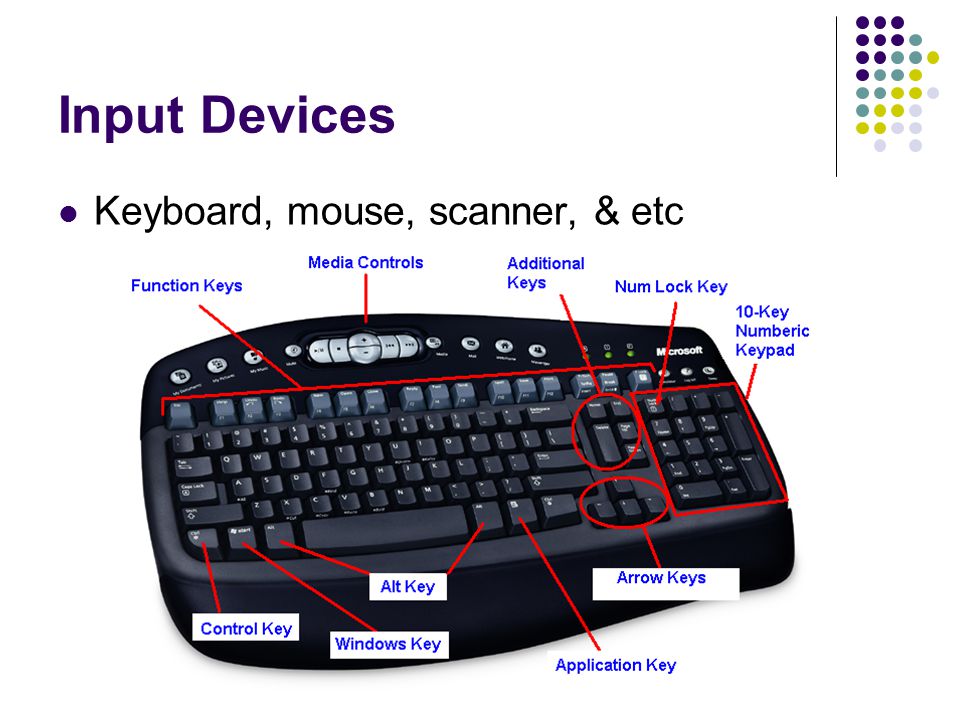 Input Devices Keyboard, mouse, scanner, & etc