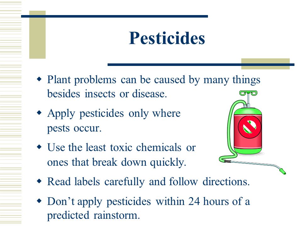 Pesticides  Plant problems can be caused by many things besides insects or disease.