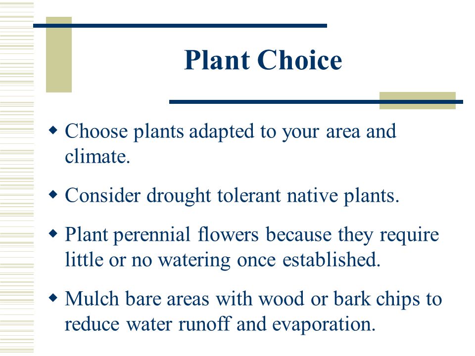 Plant Choice  Choose plants adapted to your area and climate.