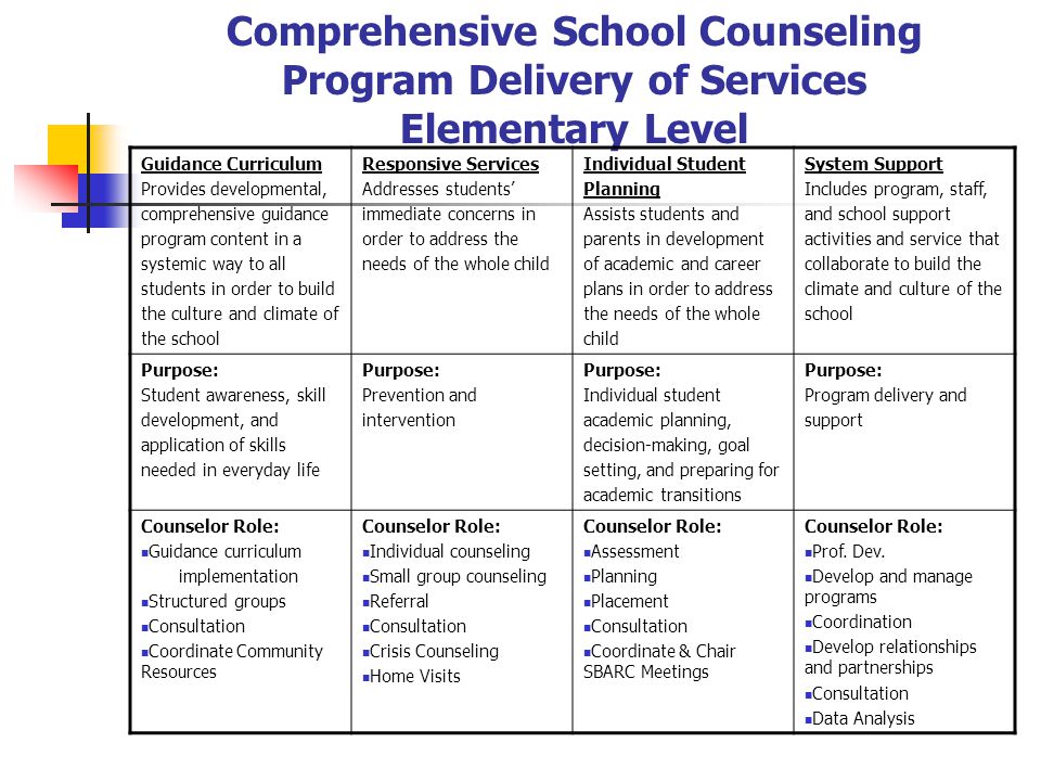 Comprehensive School Counseling Program Delivery of Services Elementary Lev...