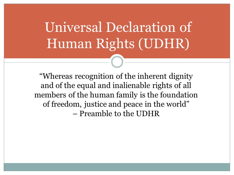 DIGNITY AND EQUALITY FOR ALL Introduction to Human Rights Yolande Tomlinson, Ph.D., US Human Rights Network Dina Tyson, National Center for Civil & Human. - ppt download - 웹