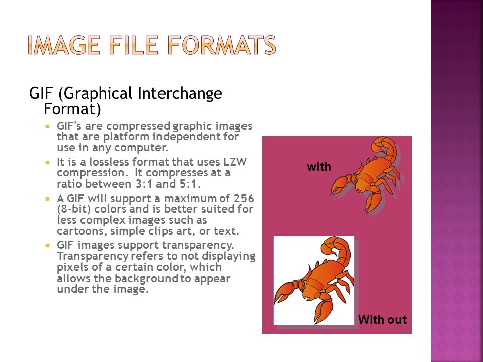 GIF (Graphical Interchange Format)  GIF s are compressed graphic images that are platform independent for use in any computer.