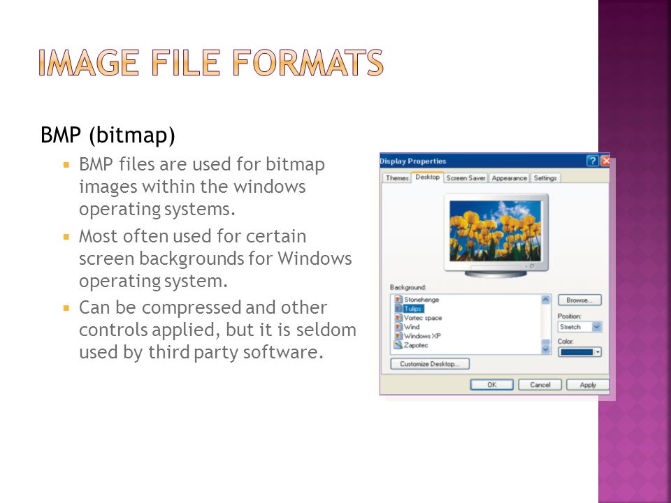 BMP (bitmap)  BMP files are used for bitmap images within the windows operating systems.