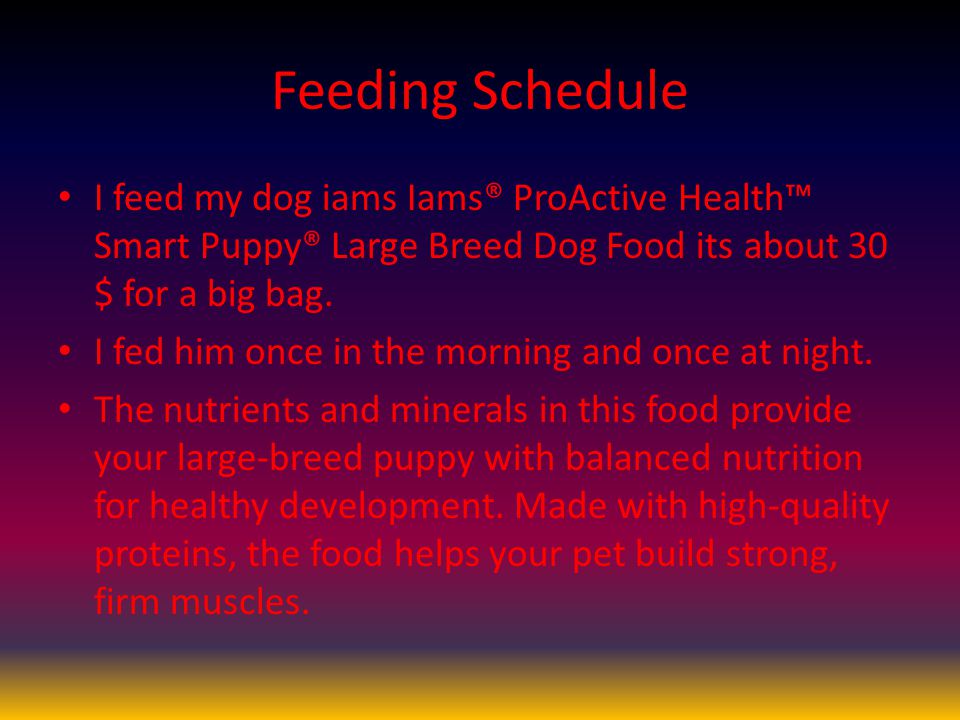 Iams Feeding Chart