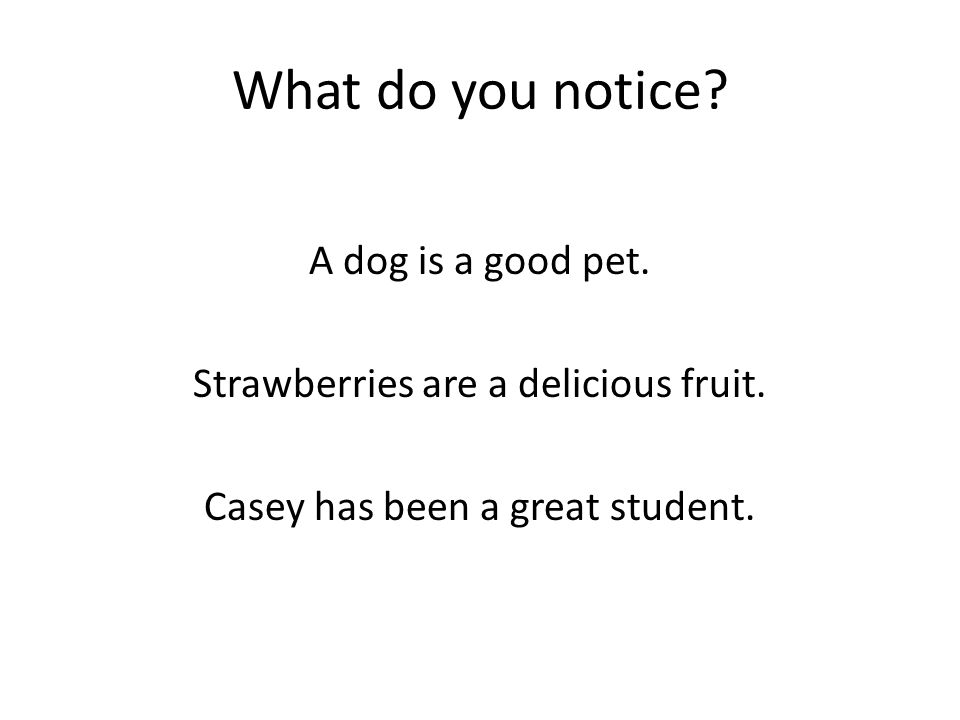 What do you notice. A dog is a good pet. Strawberries are a delicious fruit.
