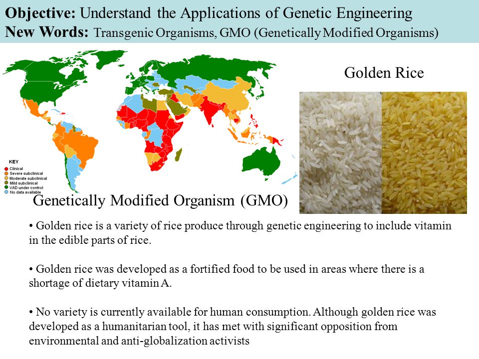 Golden rice is a variety of rice produce through genetic engineering to include vitamin in the edible parts of rice.
