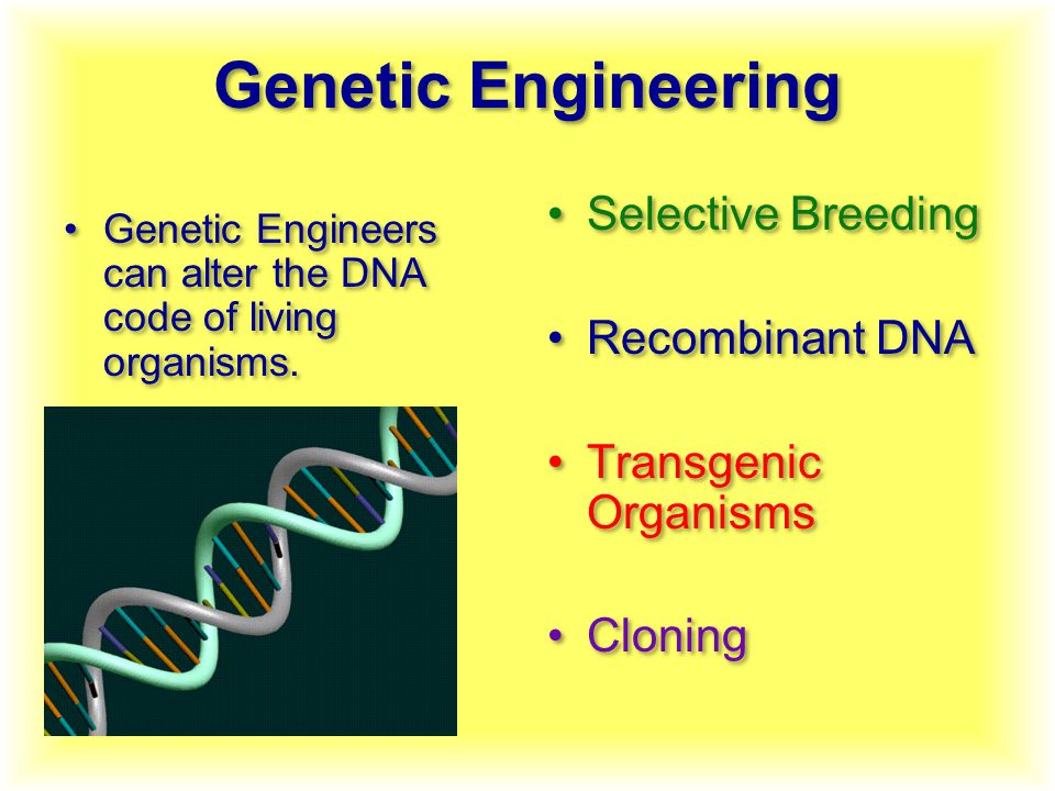 Genetic Engineering Genetic Engineers can alter the DNA code of living organisms.