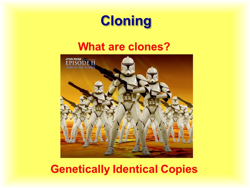 What are clones Genetically Identical Copies Cloning