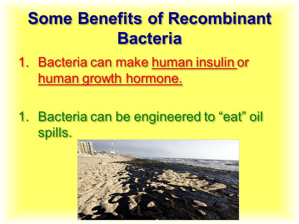 Some Benefits of Recombinant Bacteria 1.Bacteria can make human insulin or human growth hormone.