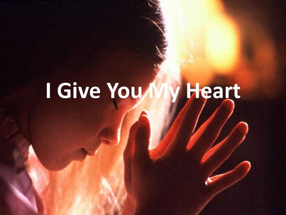 I Give You My Heart