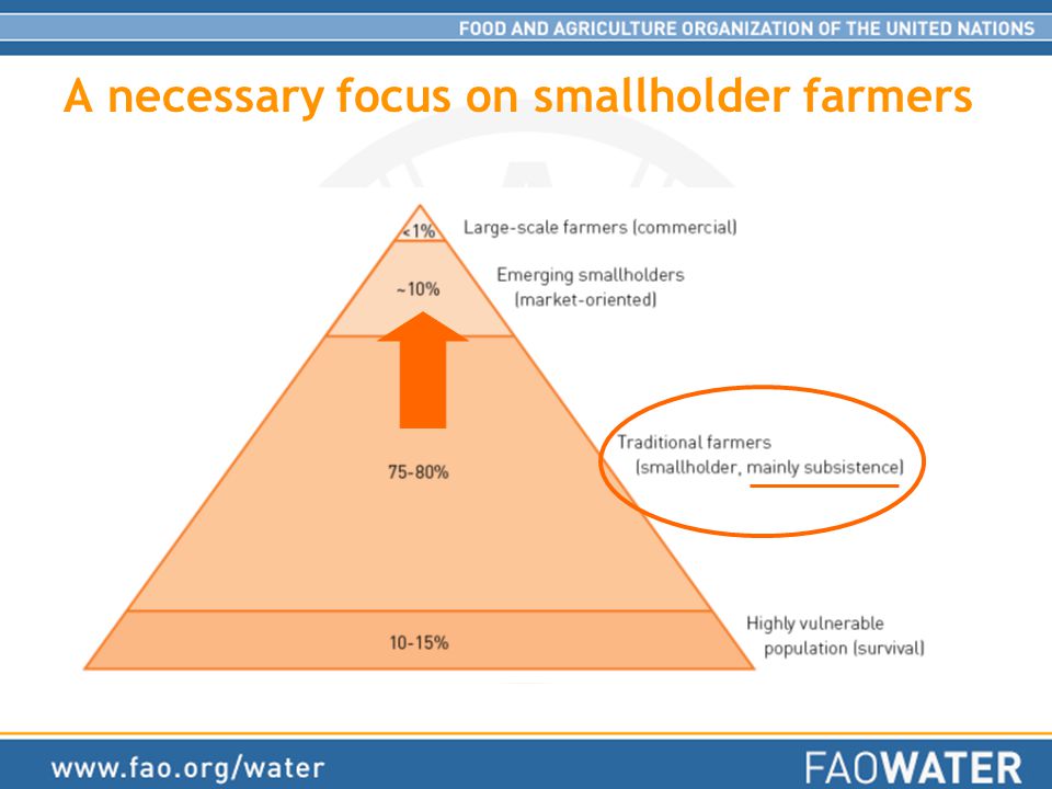 A necessary focus on smallholder farmers