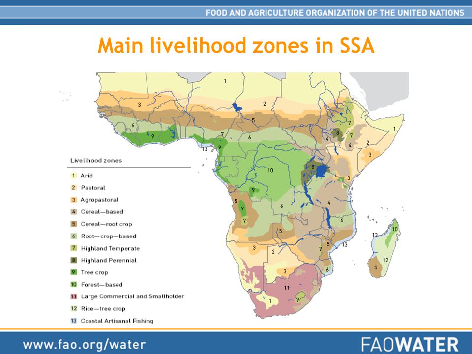 Main livelihood zones in SSA