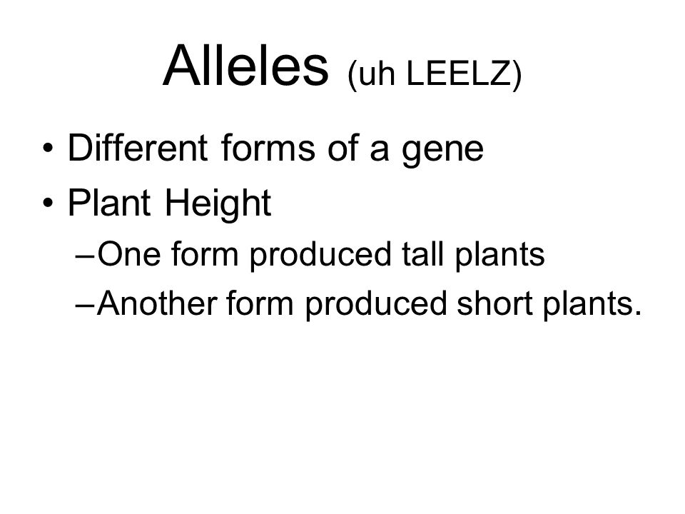 Alleles (uh LEELZ) Different forms of a gene Plant Height –One form produced tall plants –Another form produced short plants.