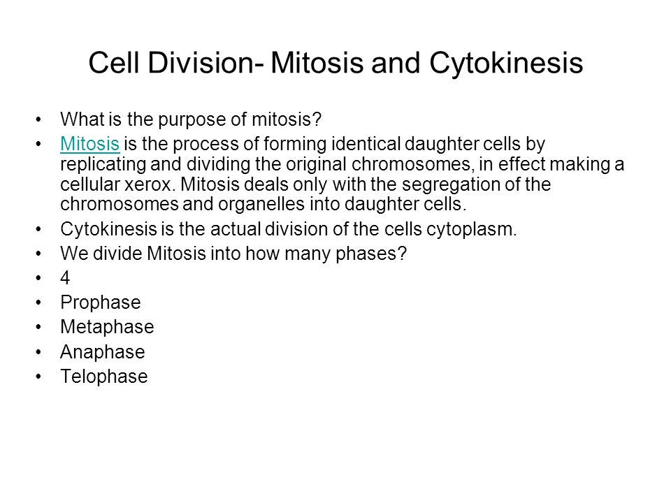 Cell Division- Mitosis and Cytokinesis What is the purpose of mitosis.