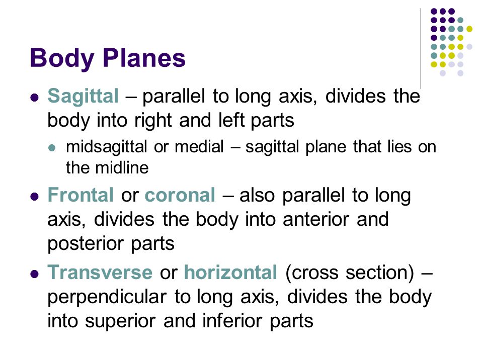 Biology 241: Human Anatomy and Physiology 1 Instructor: Joel Dahms ...