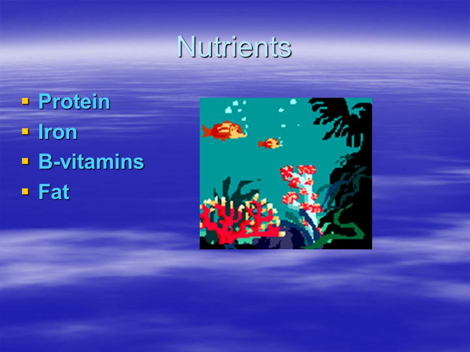 Nutrients  Protein  Iron  B-vitamins  Fat