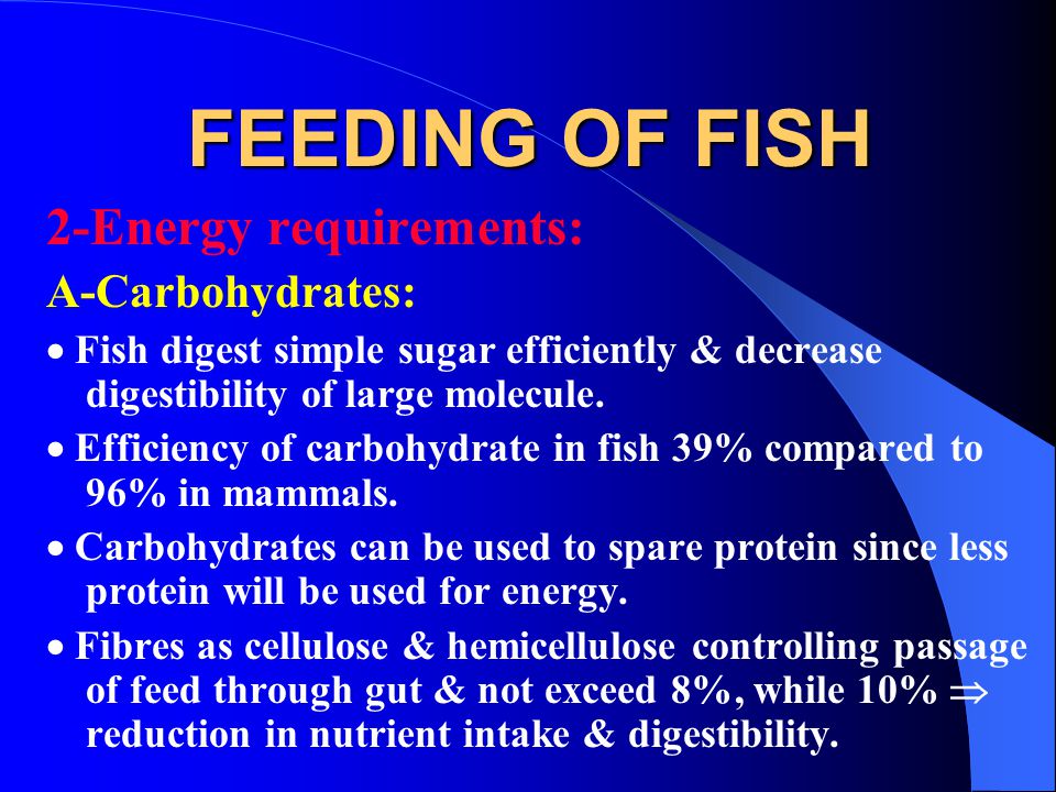FEEDING OF FISH