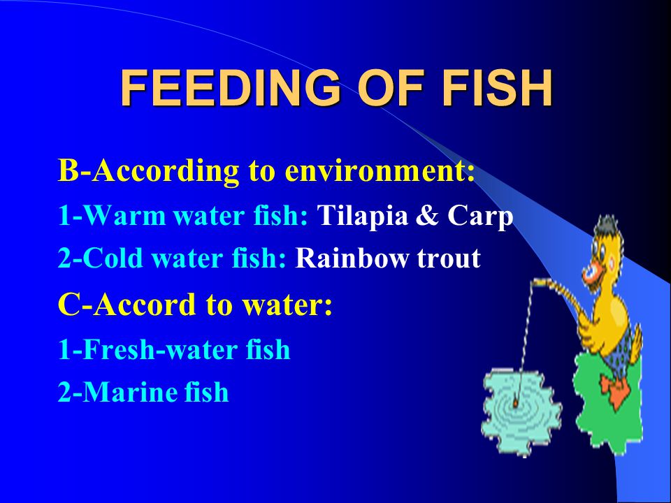 FEEDING OF FISH By Prof.Dr.ABDEL-BASET N.S.AHMED Prof.