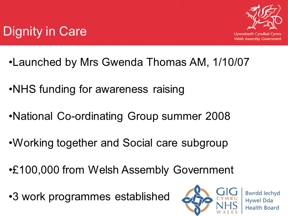 Launched by Mrs Gwenda Thomas AM, 1/10/07 NHS funding for awareness raising National Co-ordinating Group summer 2008 Working together and Social care subgroup £100,000 from Welsh Assembly Government 3 work programmes established Dignity in Care