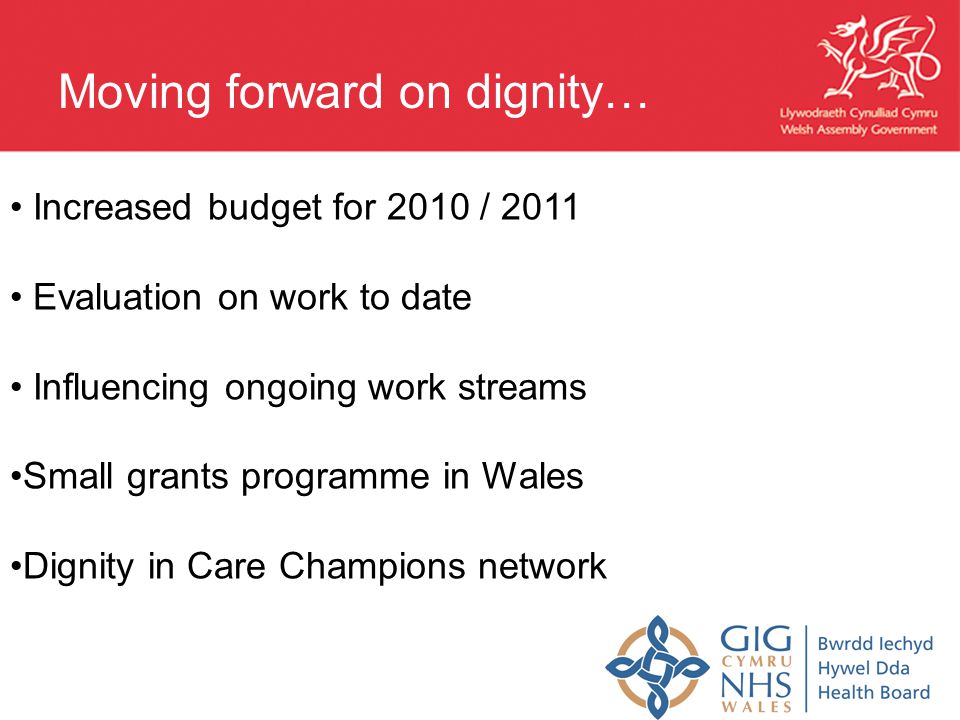Increased budget for 2010 / 2011 Evaluation on work to date Influencing ongoing work streams Small grants programme in Wales Dignity in Care Champions network Moving forward on dignity…