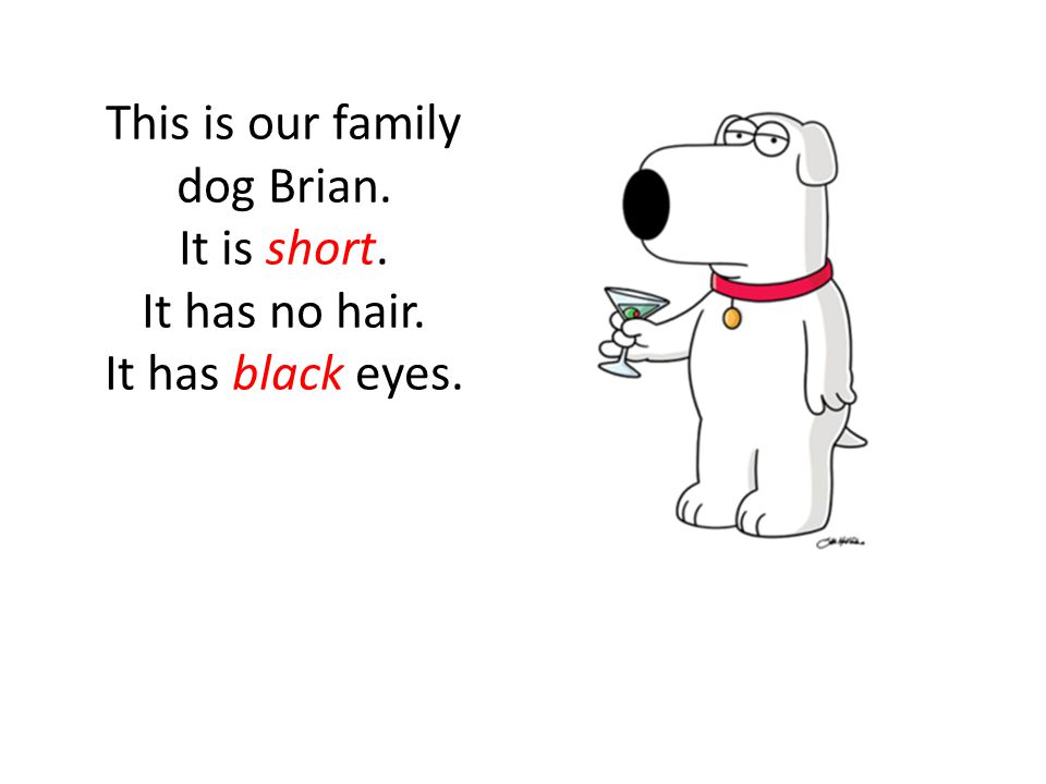 This is our family dog Brian. It is short. It has no hair. It has black eyes.