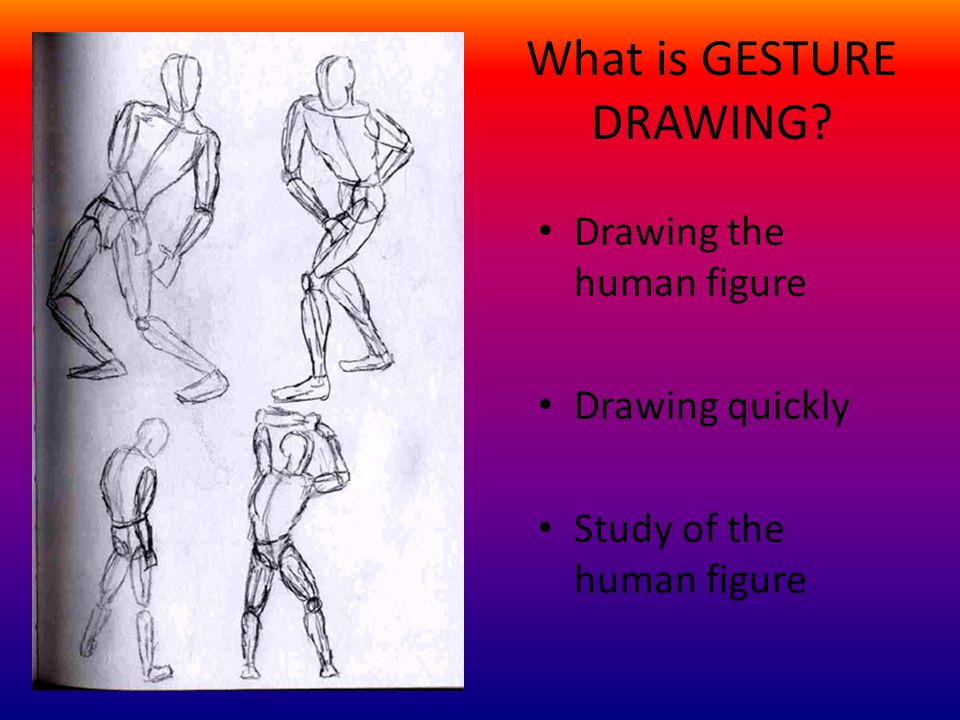What is GESTURE DRAWING Drawing the human figure Drawing quickly Study of the human figure