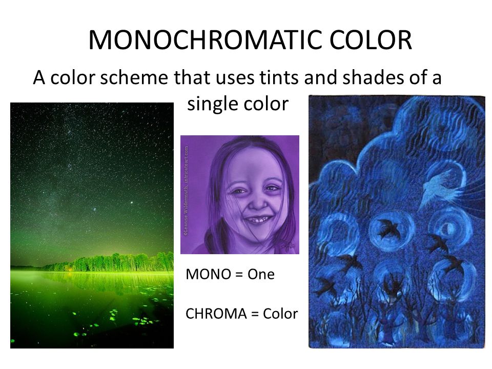 MONOCHROMATIC COLOR A color scheme that uses tints and shades of a single color MONO = One CHROMA = Color